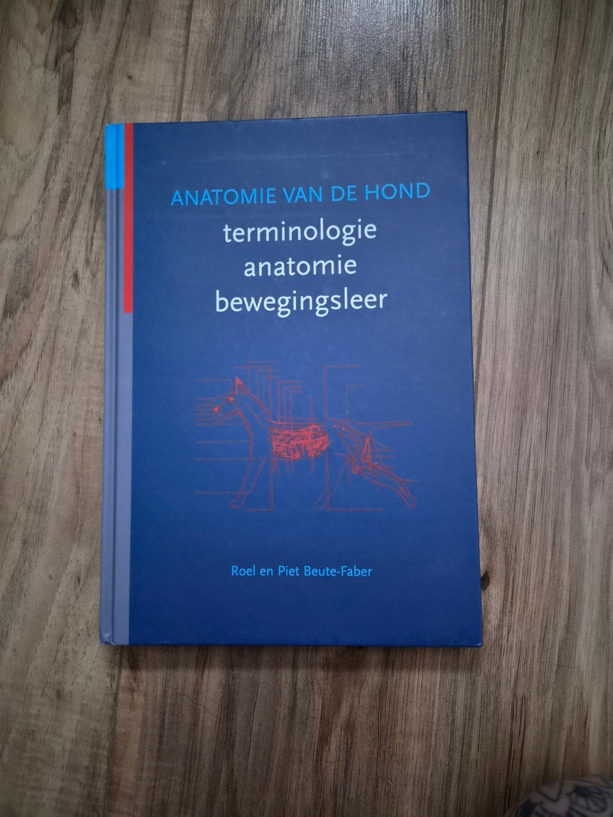 Anatomie van de Hond: Terminologie, Anatomie, Bewegingsleer, Zo goed als nieuw, HBO, Ophalen of Verzenden, Roel en Piet Beute-Faber