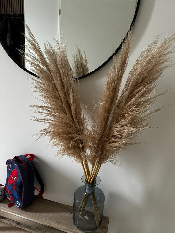 Pampas pluimen 10 stuks 100 cm - Droogbloemen, Ophalen, Zo goed als nieuw