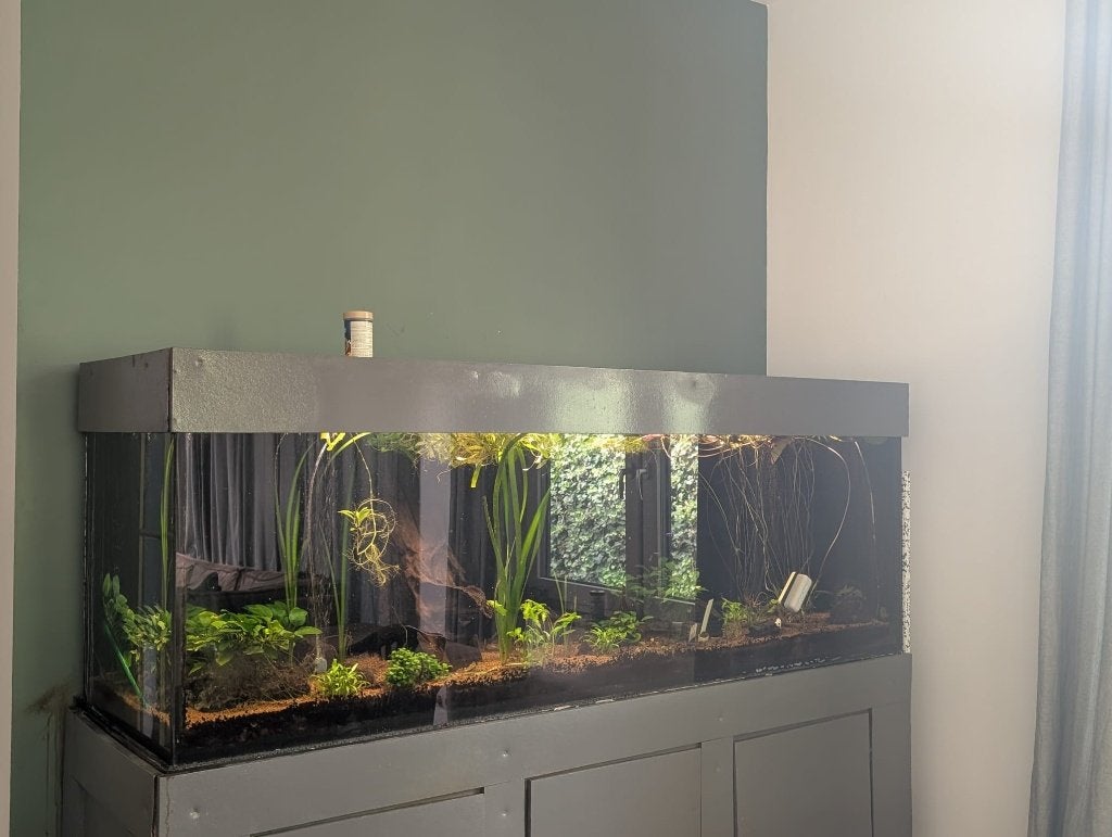 Aquarium 200 x 60 x 60 opknapper, Ophalen, Inclusief deksel, Gebruikt, Leeg aquarium