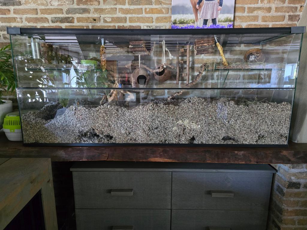 ZGAN Terrarium / Hamsterscaping, Ophalen, Kooi, 110 cm of meer, 60 tot 90 cm