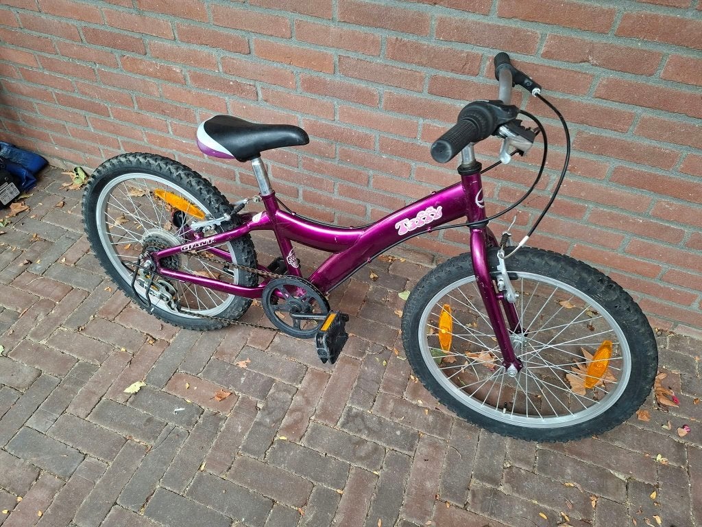 Kinderfiets Giant Taffy, Fietsen en Brommers, Ophalen, Gebruikt, Minder dan 16 inch, Giant