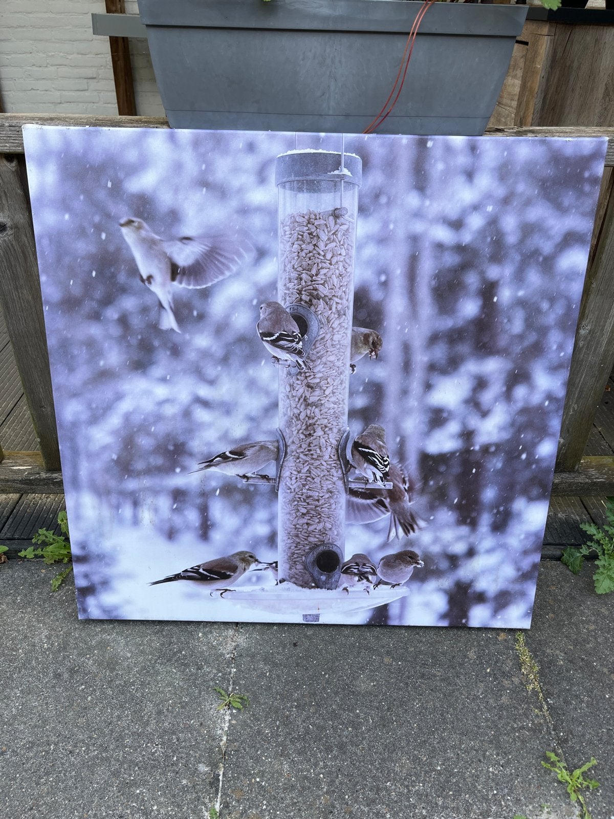Canvas tuinschilderij, Ophalen, 50 – 75, Gebruikt, Schilderij
