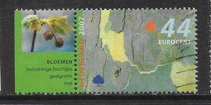 2007, Bomen in de Zomer, Schors van de Plataan [2510](K2010), Ophalen of Verzenden