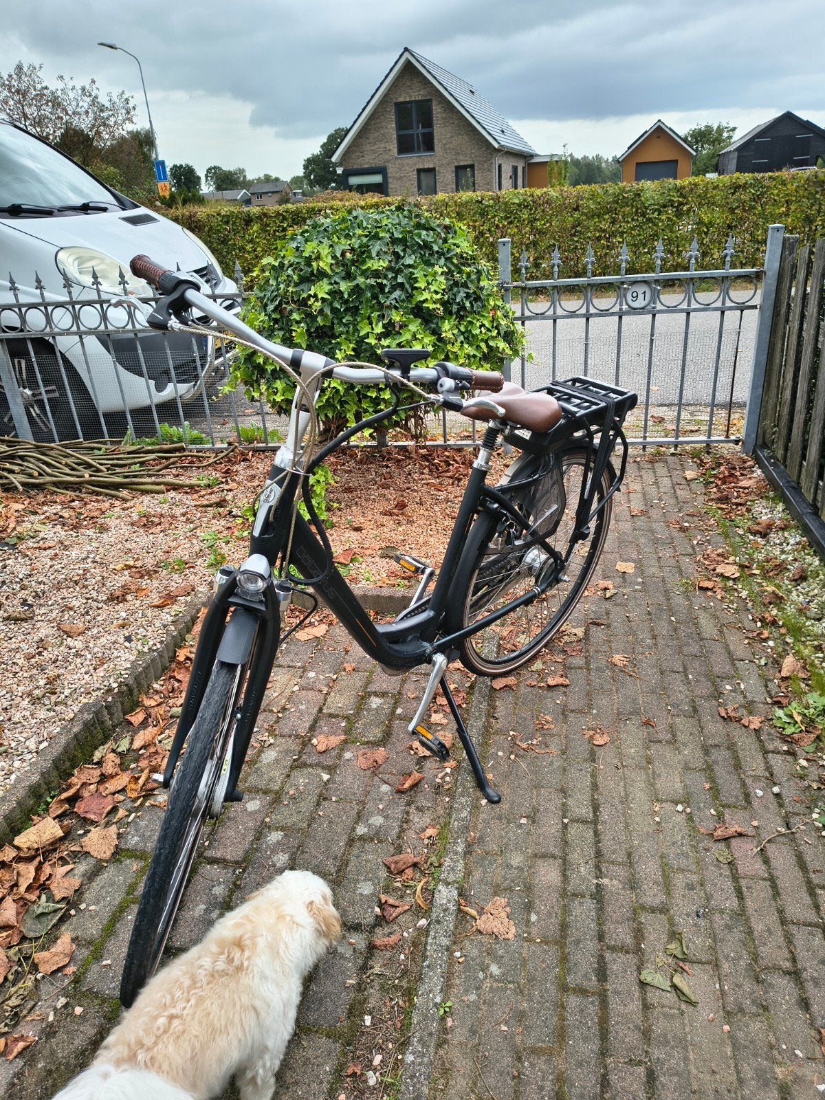 Foto 3 van Batavus Genova elektrische fiets