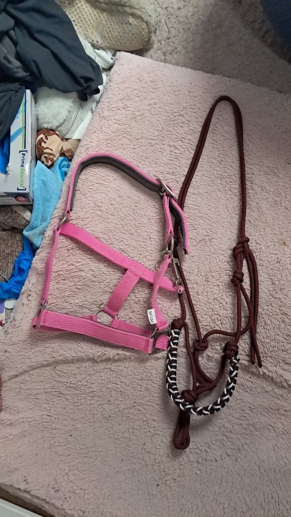 Halsters, Handgemaakt, Overige disciplines, Meerkleurig, Ophalen of Verzenden