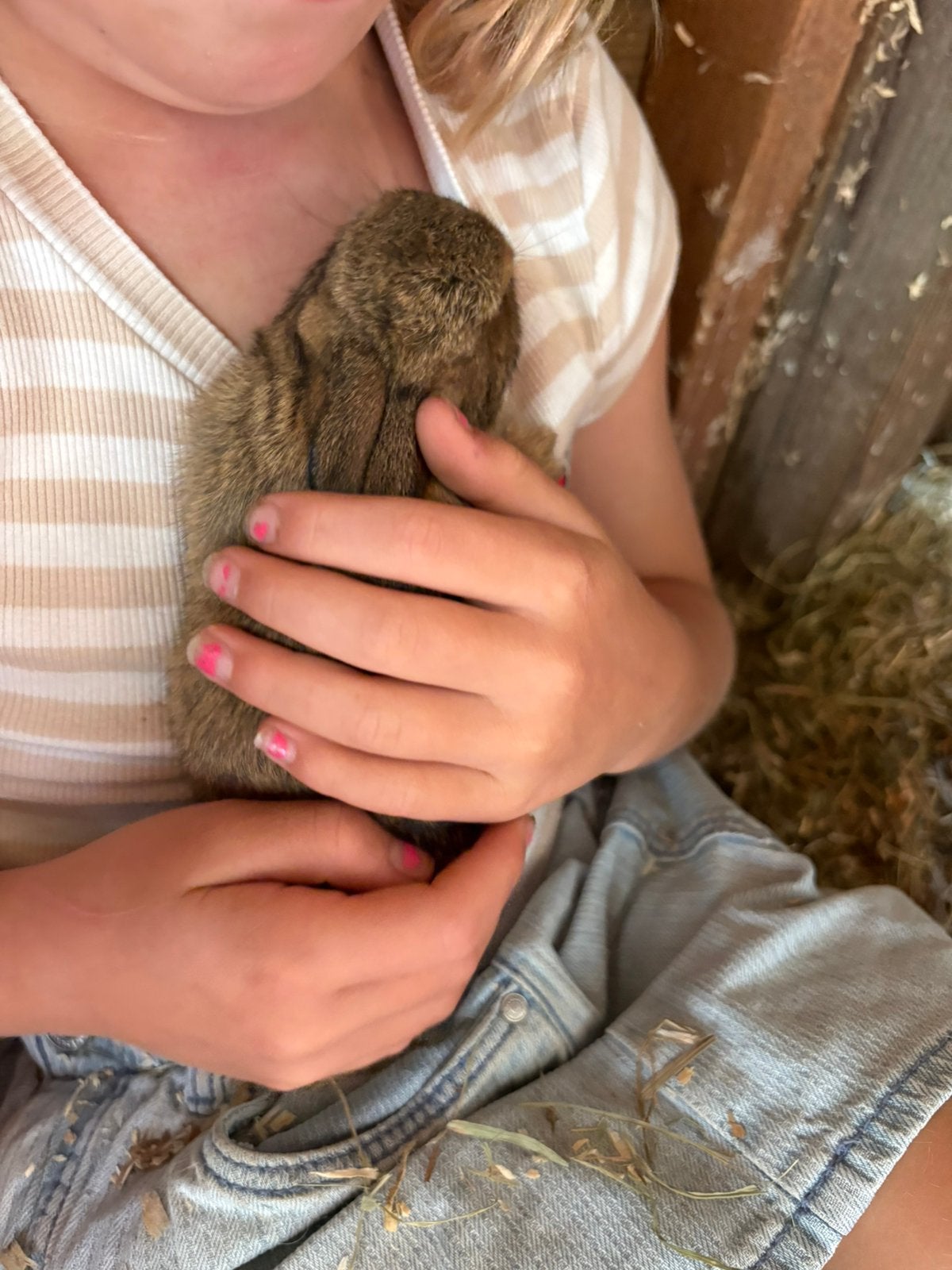 Kruising vlaamse reus, Dieren en Toebehoren, Konijnen, Geslacht onbekend, Groot
