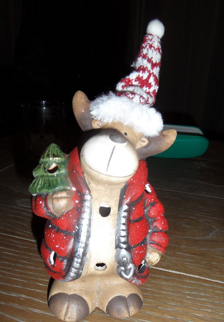 Leuke kerstversiering, aangeklede beer, Diversen, Kerst, Ophalen of Verzenden, Zo goed als nieuw