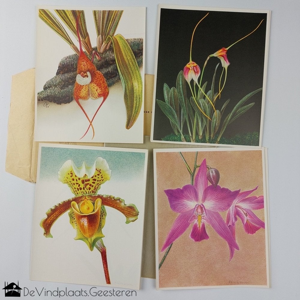 Orchideeën - Zwitsers plaatjesalbum - 1952 – als nieuw!, Ophalen of Verzenden, Zo goed als nieuw, Bloemen, Planten en Bomen