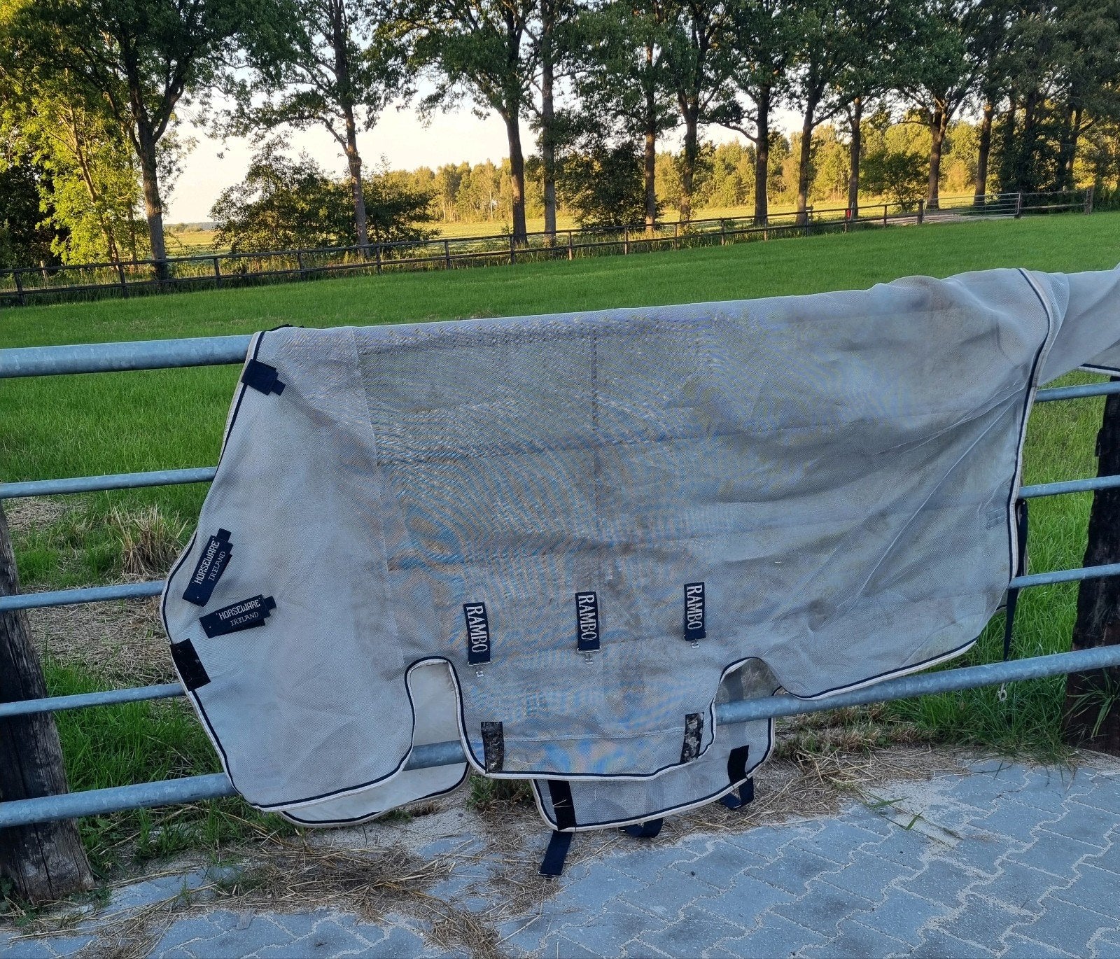 Rambo protector fieldsafe 213, Dieren en Toebehoren, Afneembare hals, Extra Full (XL), Ophalen of Verzenden, Zo goed als nieuw