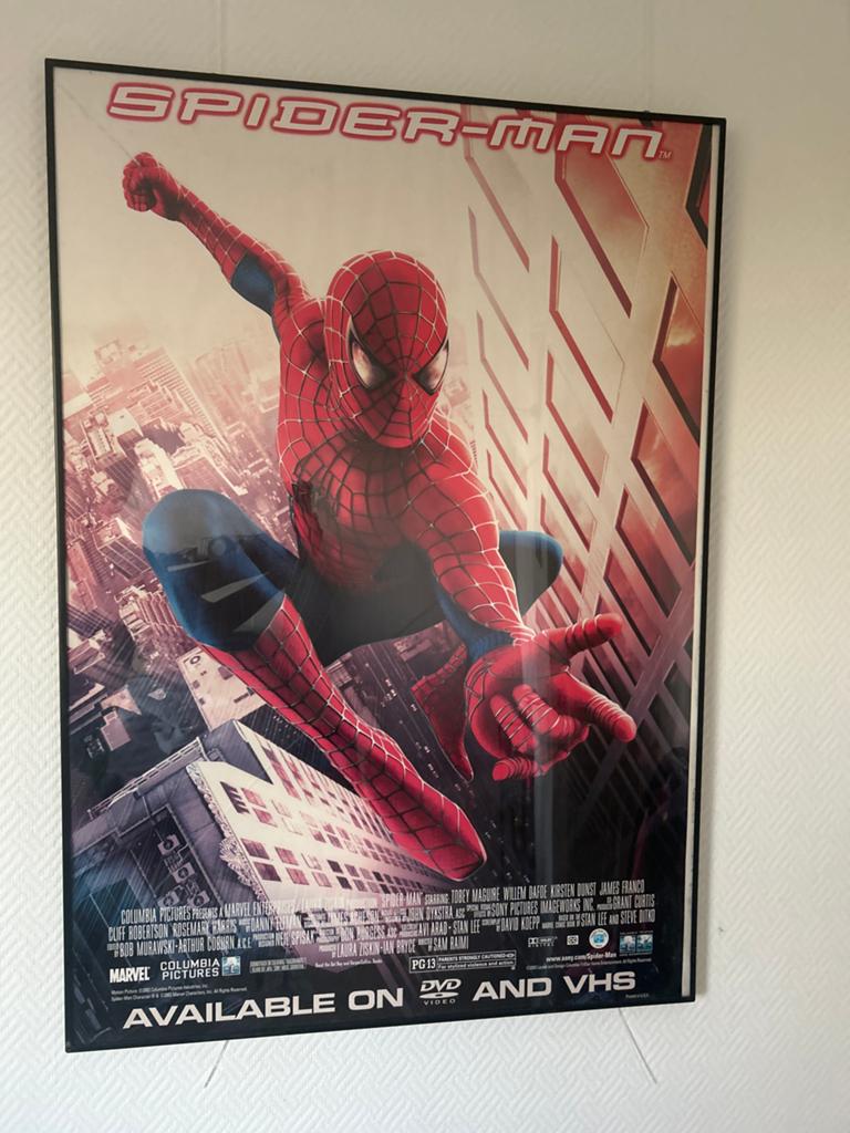Spider-Man Filmposter - Origineel  limited edition, Verzamelen, Posters, Met lijst, Ophalen of Verzenden, A1 t/m A3, Film en Tv
