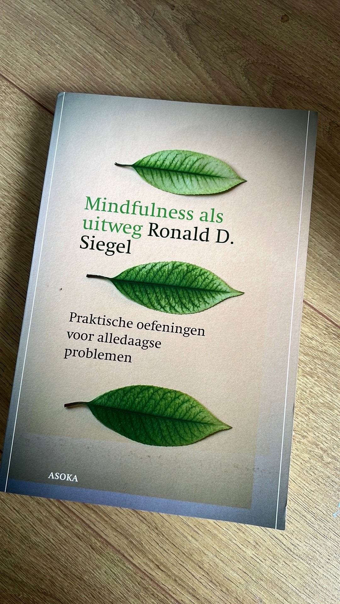 R.D. Siegel - Mindfulness als uitweg, Ophalen of Verzenden, Zo goed als nieuw, R.D. Siegel