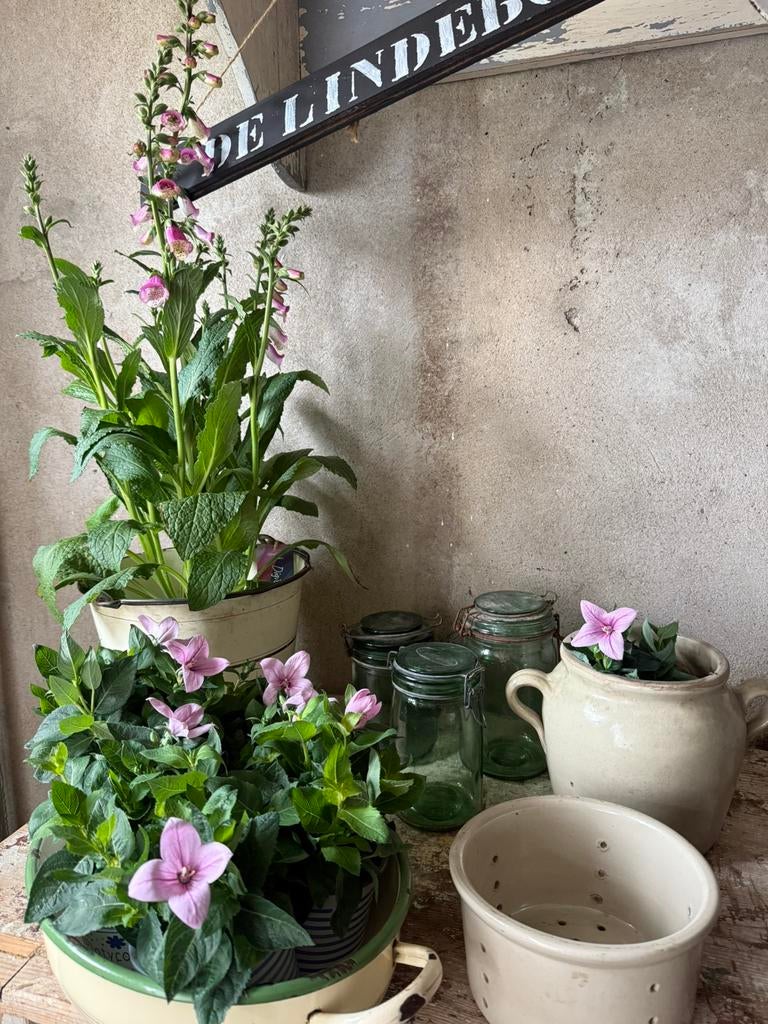 Diverse brocante, Frans gres, Antiek en Kunst, Curiosa en Brocante, Ophalen of Verzenden