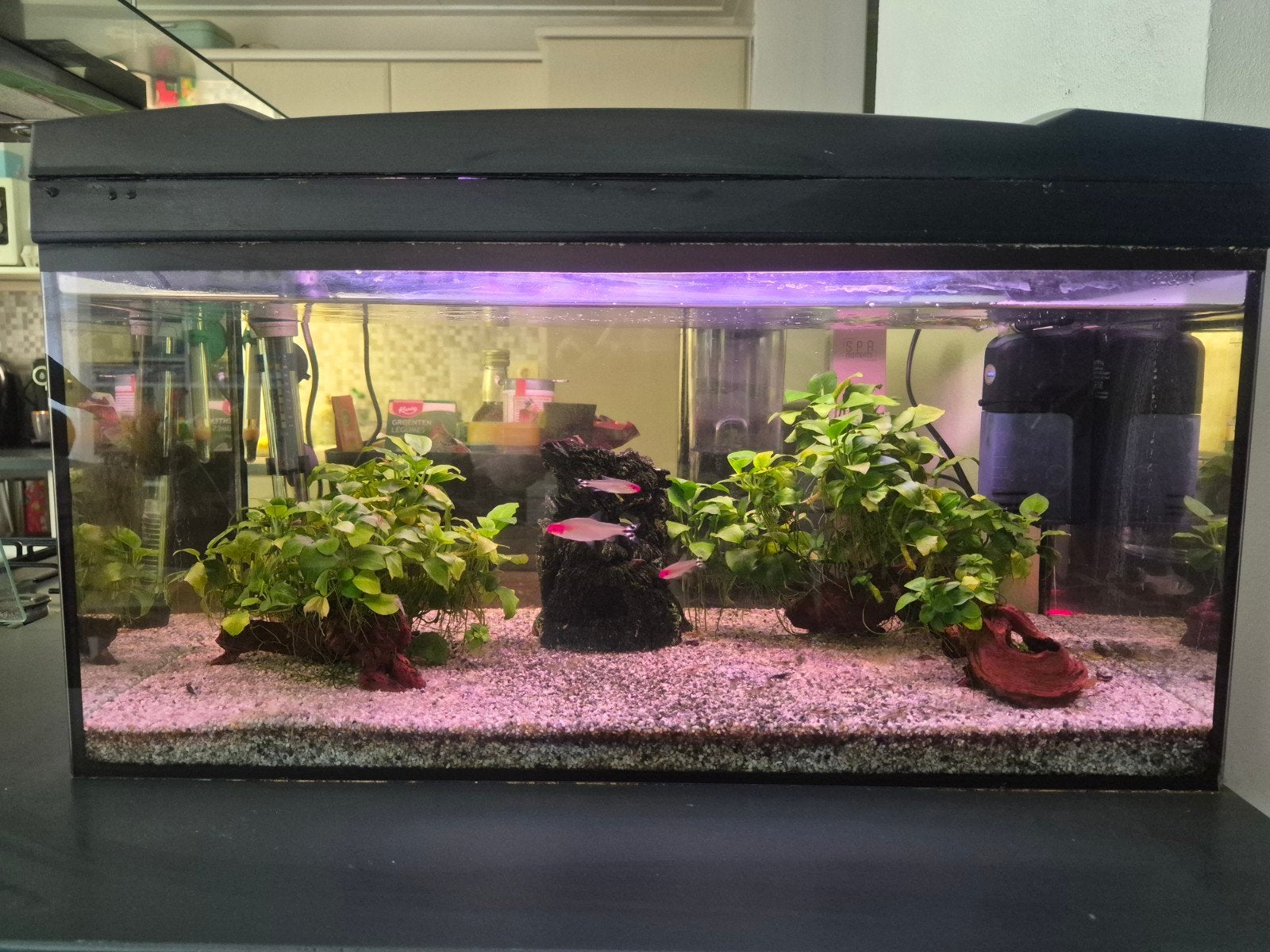 Compleet aqarium, Dieren en Toebehoren, Vissen | Aquaria en Toebehoren, Zo goed als nieuw, Ophalen