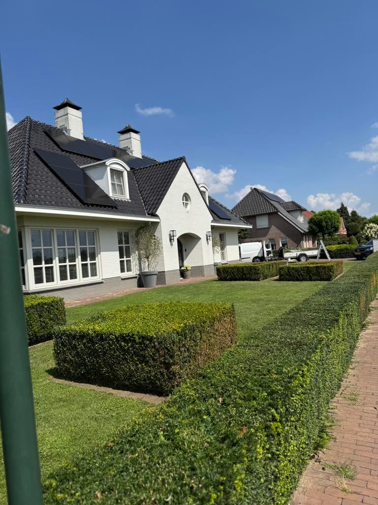 Hovenier/tuinman, Diensten en Vakmensen, Tuinmannen en Stratenmakers, Tuinonderhoud of Snoeiwerk
