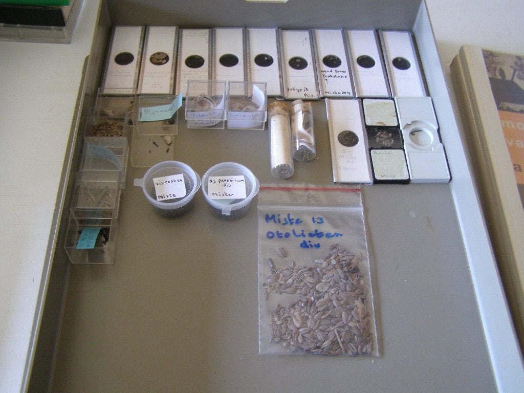 Fossielen Miste-Mioceen. 2013, Verzamelen, Ophalen of Verzenden, Fossiel