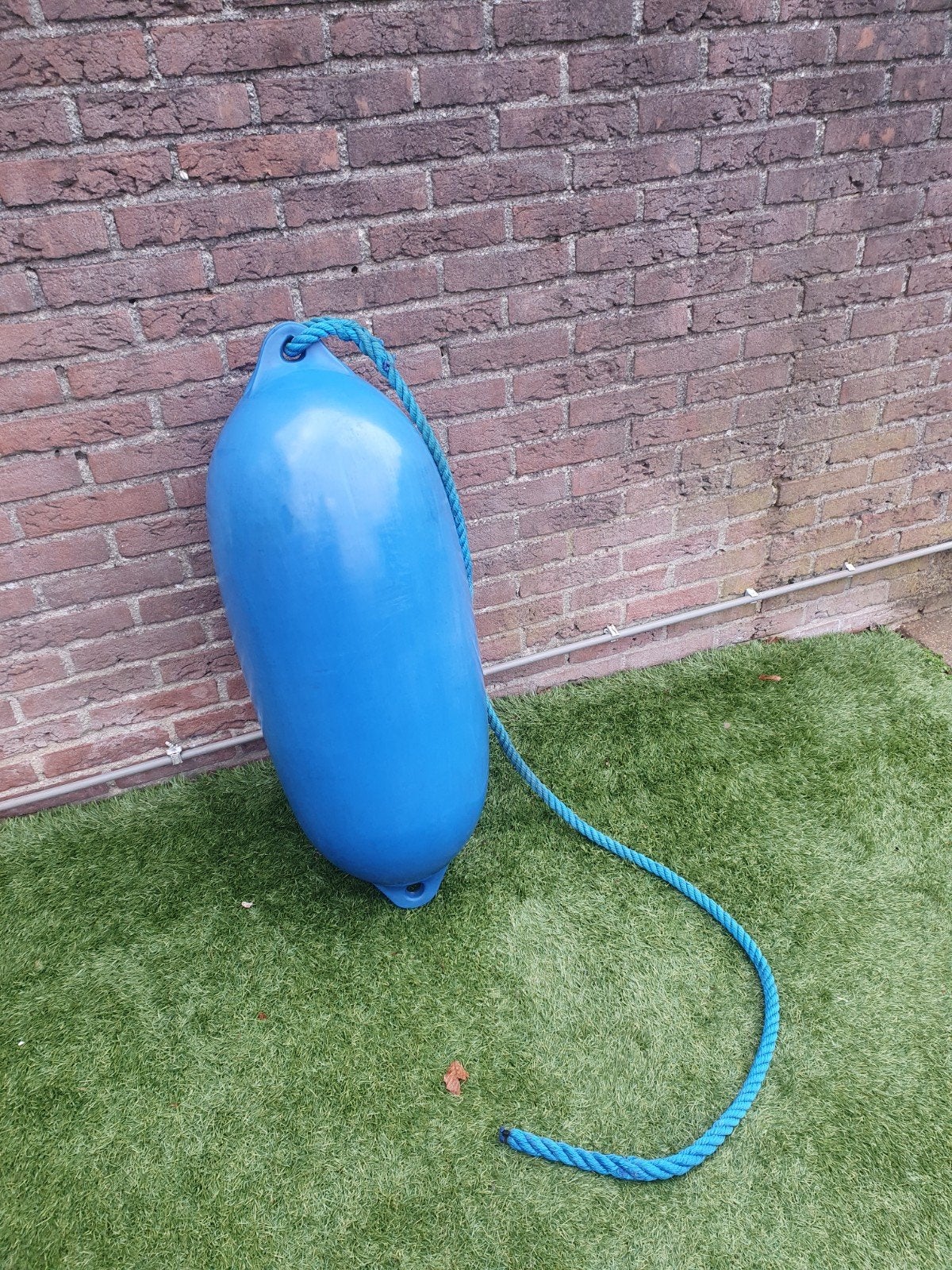 Grote blauwe stootwil met touw, Ophalen