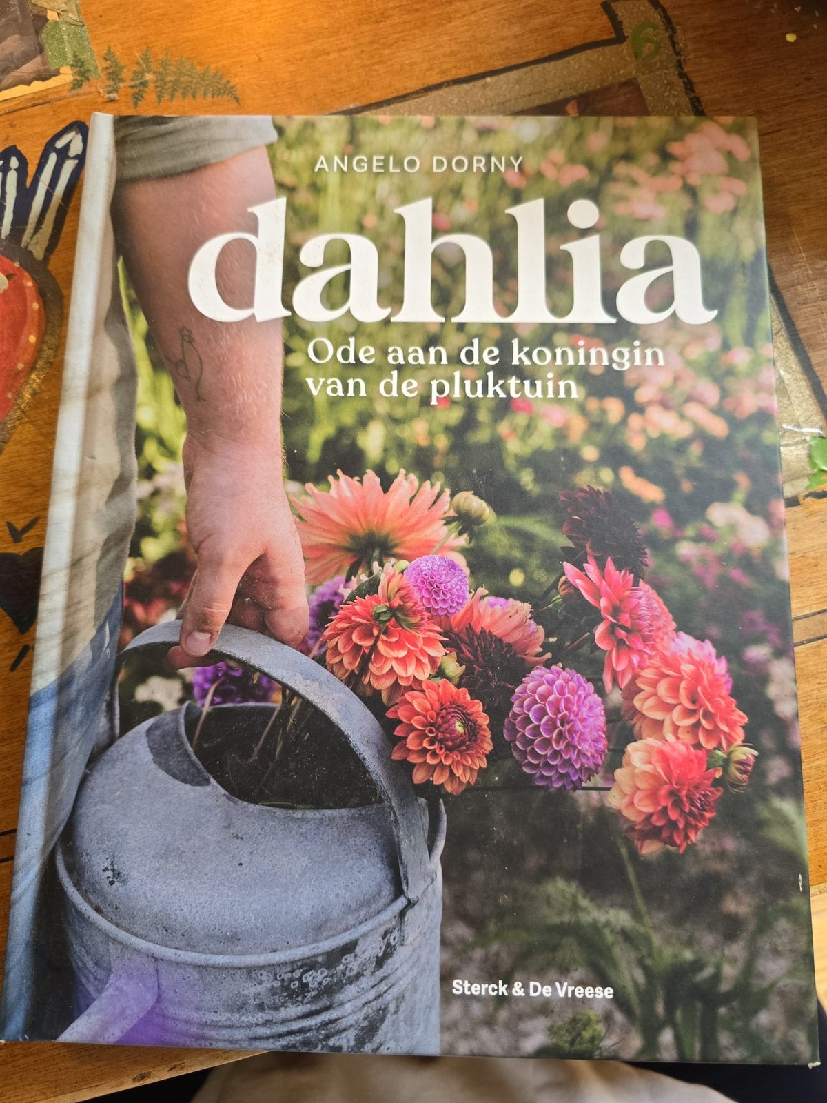 Dahlia, Ophalen, Zo goed als nieuw