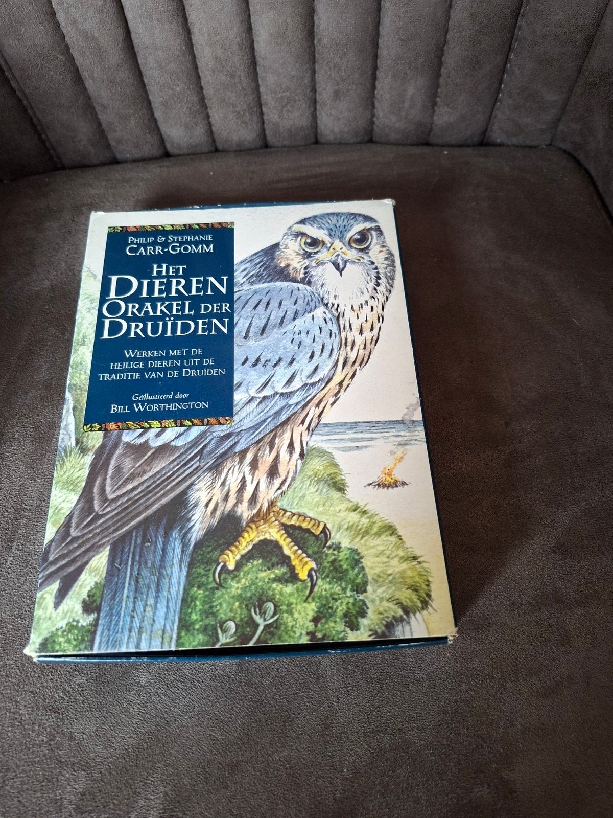 Het Dieren Orakel der Druïden - Philip & Stephanie Carr-Gomm, Boeken, Gelezen, Tarot of Kaarten leggen, Ophalen of Verzenden, Philip & Stephanie Carr-Gomm
