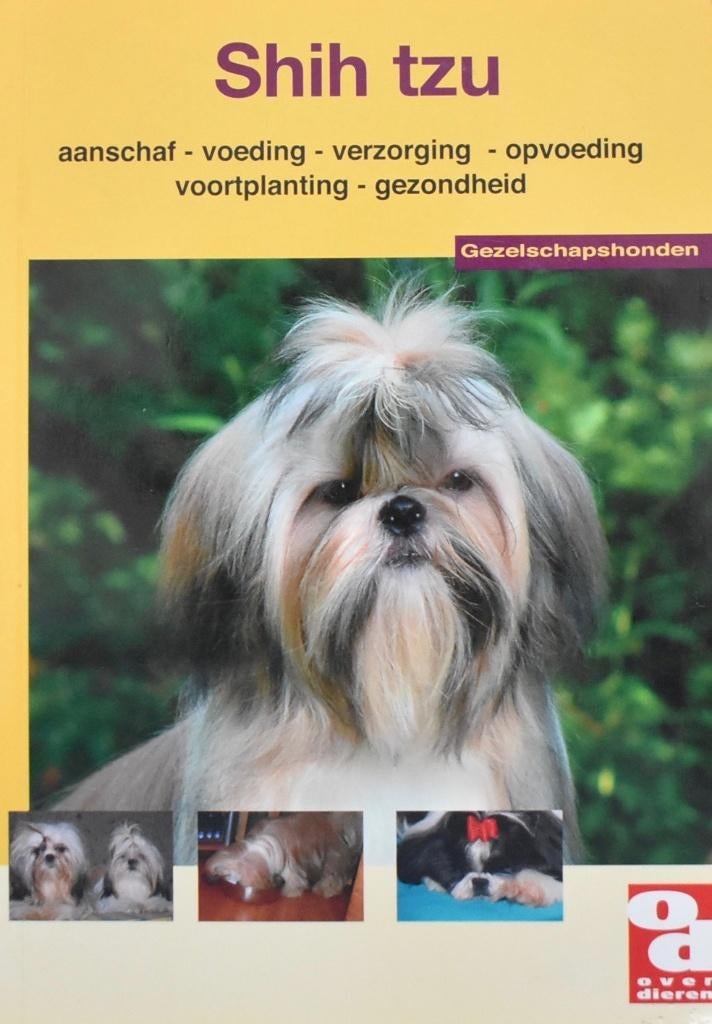 Shih Tzu: Aanschaf, (op)voeding, verzorging enz, Ophalen of Verzenden, Zo goed als nieuw, Honden