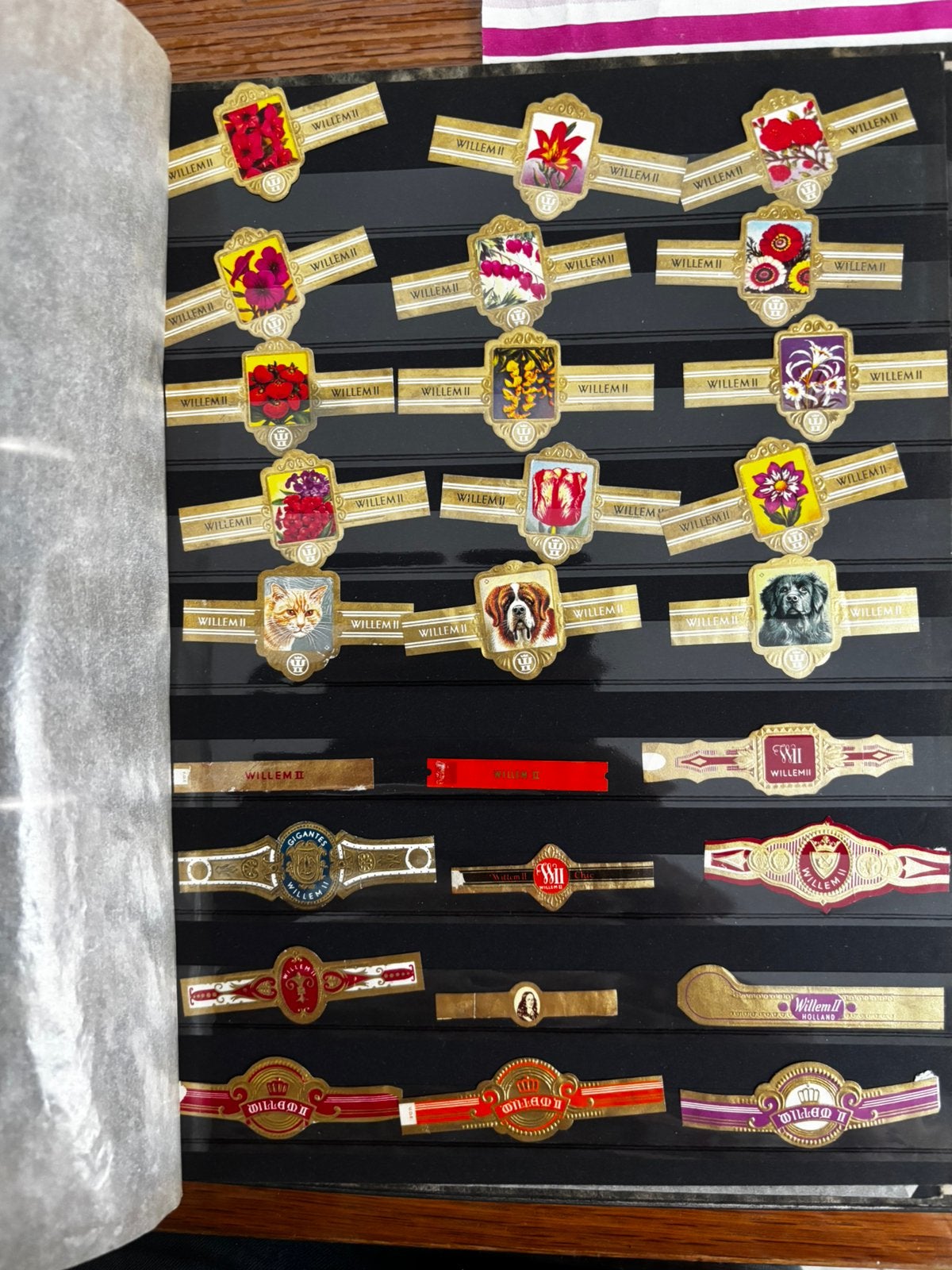 Sigarenbandjes, Ophalen of Verzenden, Nieuw