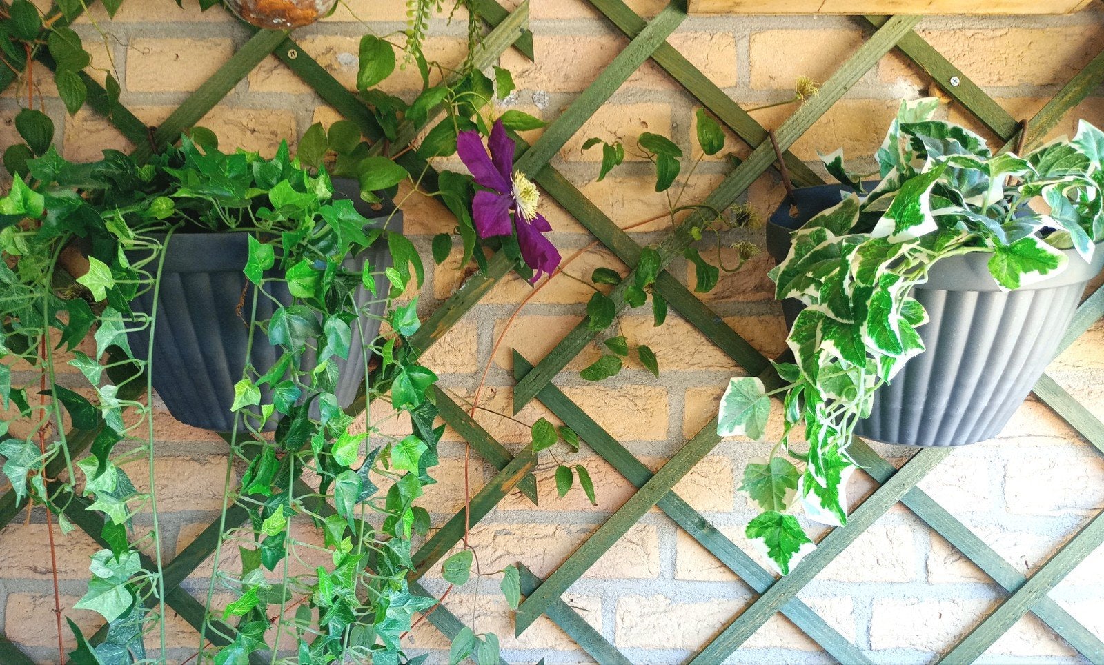 2 Leuke muur/ schutting bloempotten ( ELHO) samen voor €6.50, Tuin en Terras, Ophalen, Rond, Zo goed als nieuw, Minder dan 40 cm