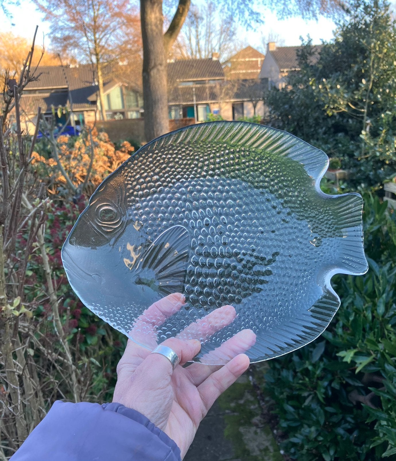 Visschaal KLEIN formaat visschotel 26 x 21 cm 🐟, Schaal, Ophalen of Verzenden, Ovaal, Glas