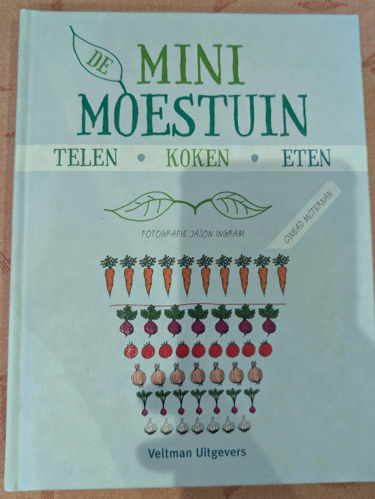 De Mini Moestuin: Telen, Koken, Eten - Inspirerend Tuinboek, Ophalen of Verzenden, Nieuw, Cinead McTernan, Moestuin