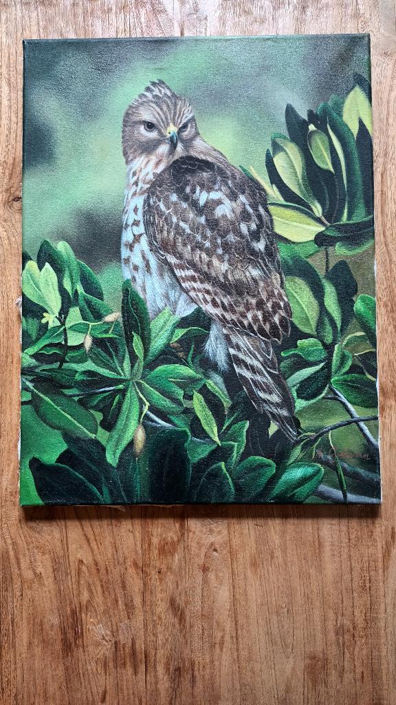 Realistisch schilderij buizerd, Antiek en Kunst, Ophalen