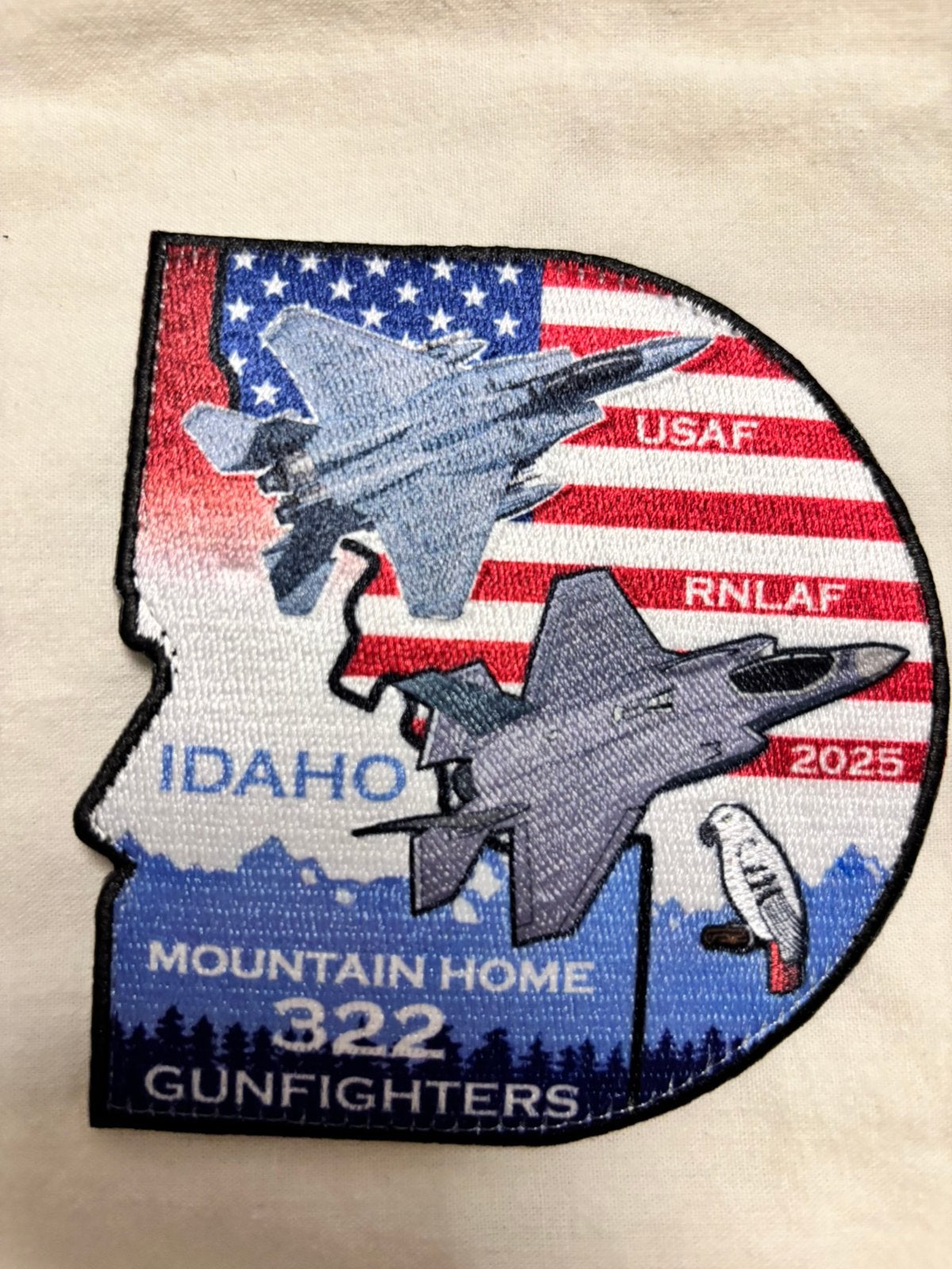 Embleem 2 mountain home gunfighters 322 SQN RNLAF, Verzenden, Luchtmacht, Nederland, Embleem of Badge