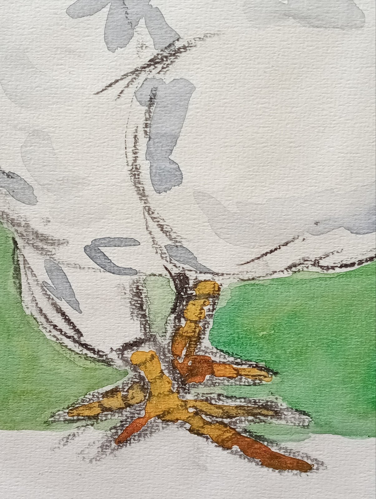 Kip Aquarel met krijt gesigneerd, Antiek en Kunst, Kunst | Tekeningen en Foto's, Verzenden