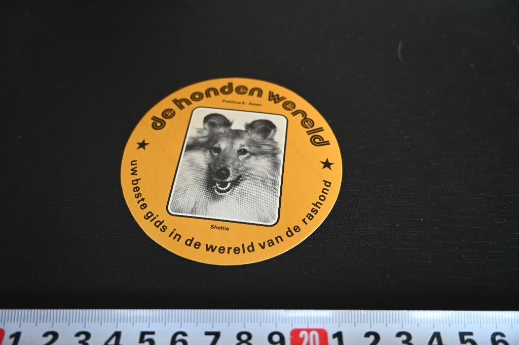 sticker Asten De Honden wereld  Sheltie, Ophalen, Zo goed als nieuw