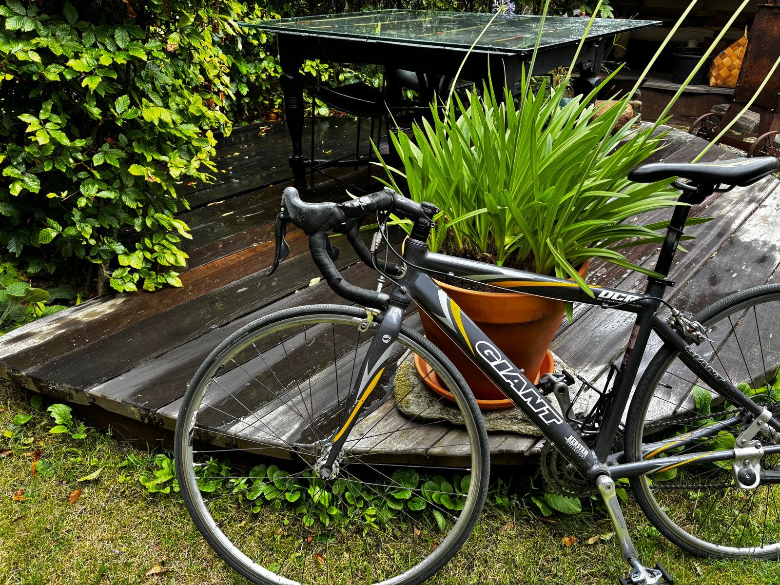 Giant OCR racefiets - Gebruikt, goede staat, Ophalen, Gebruikt, Heren, Aluminium