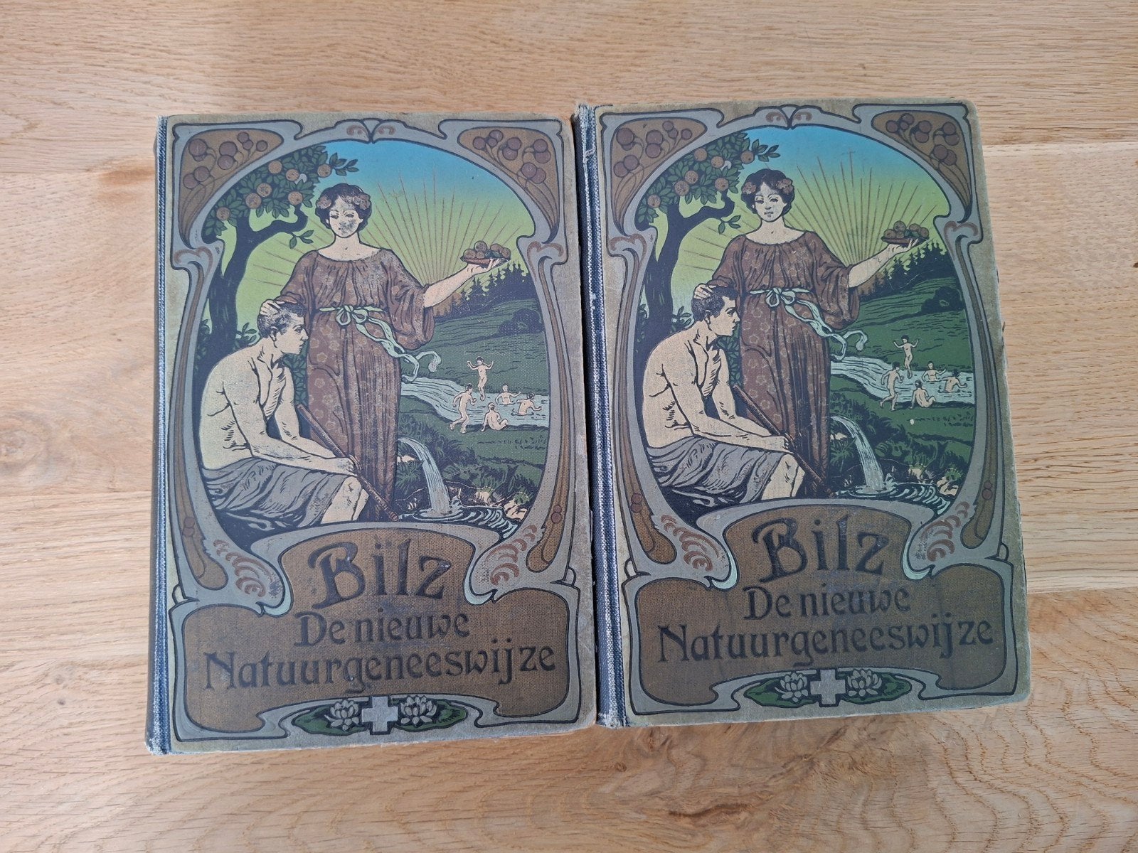 "De nieuwe natuurgeneeswijze, Antiek en Kunst, Verzenden