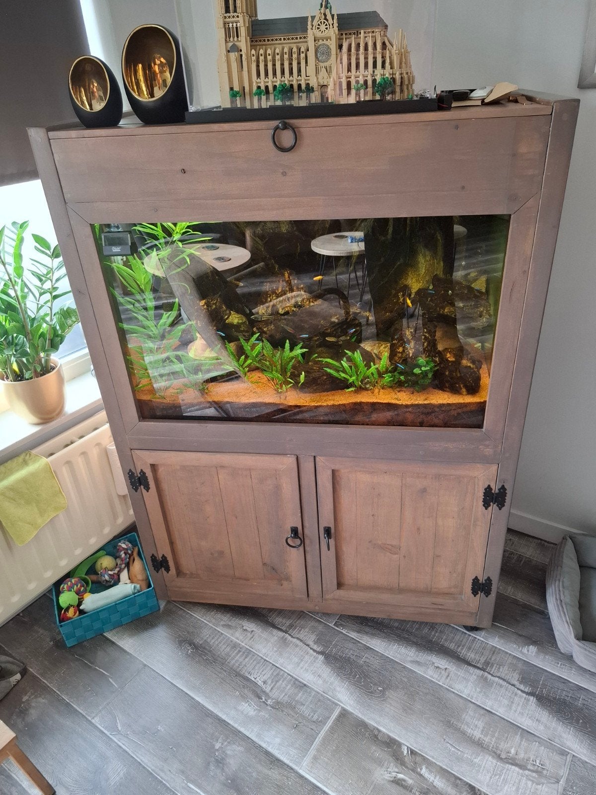 tekoop aquarium, Vis