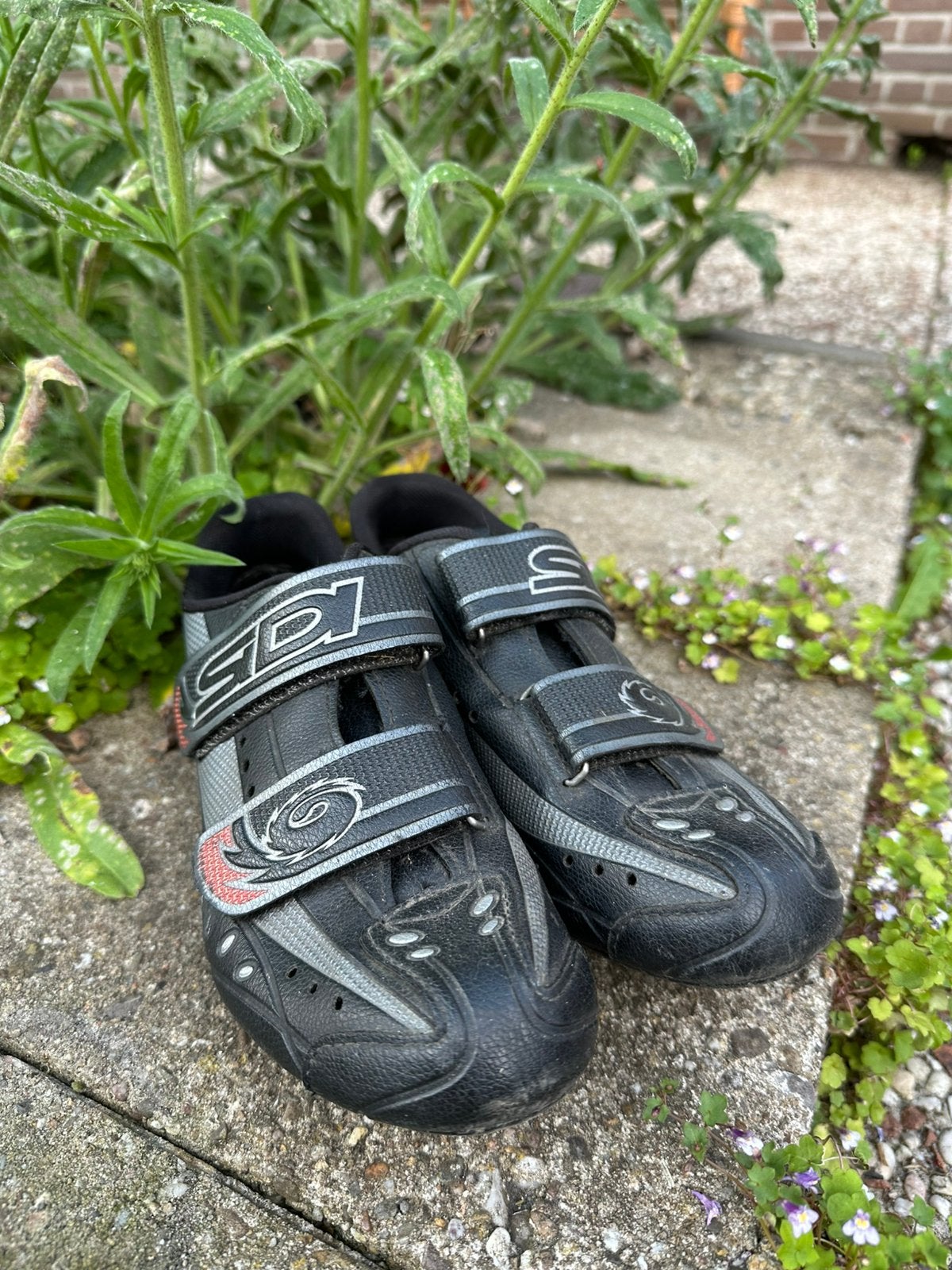 SDI fietsschoenen maat 38, Ophalen of Verzenden, Zo goed als nieuw, Overige maten, Schoenen