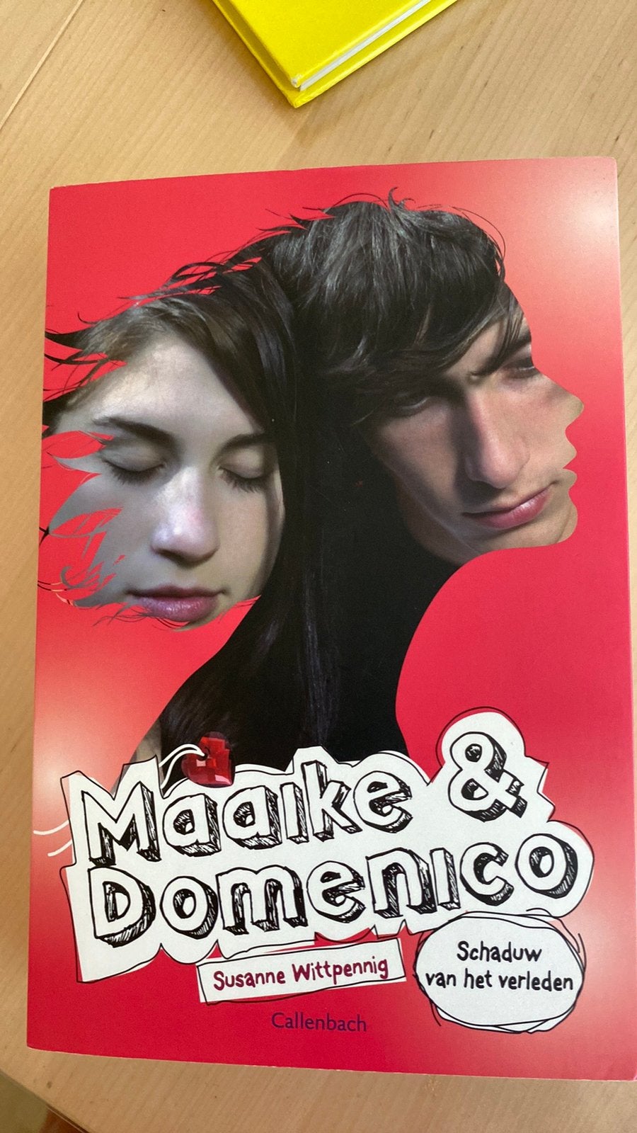 Maaike en Domenico Schaduw van het verleden, Ophalen of Verzenden, Nieuw, Susanne Wittpennig