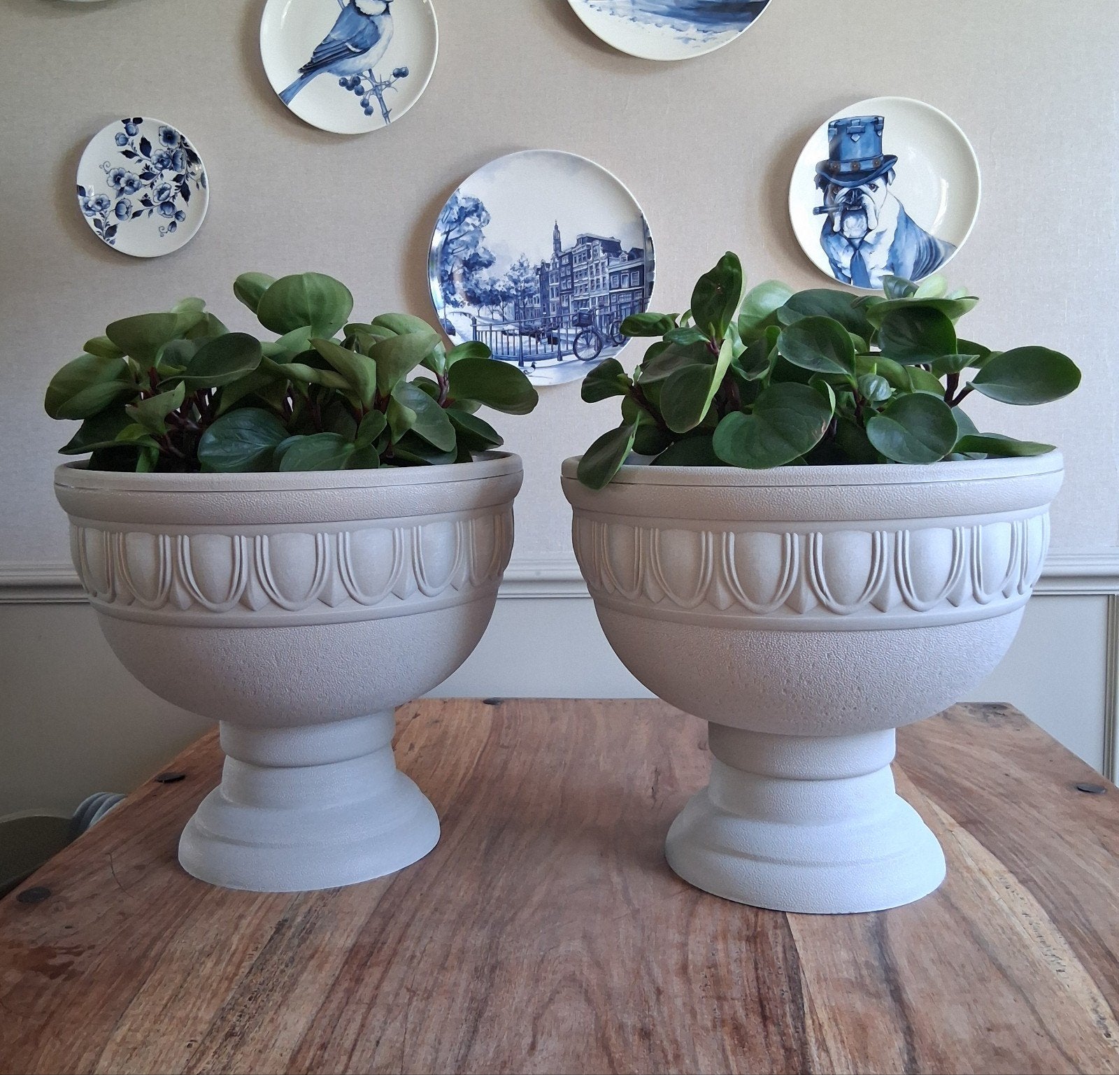 2x bloempotten. Incl. Vetplanten, Ophalen