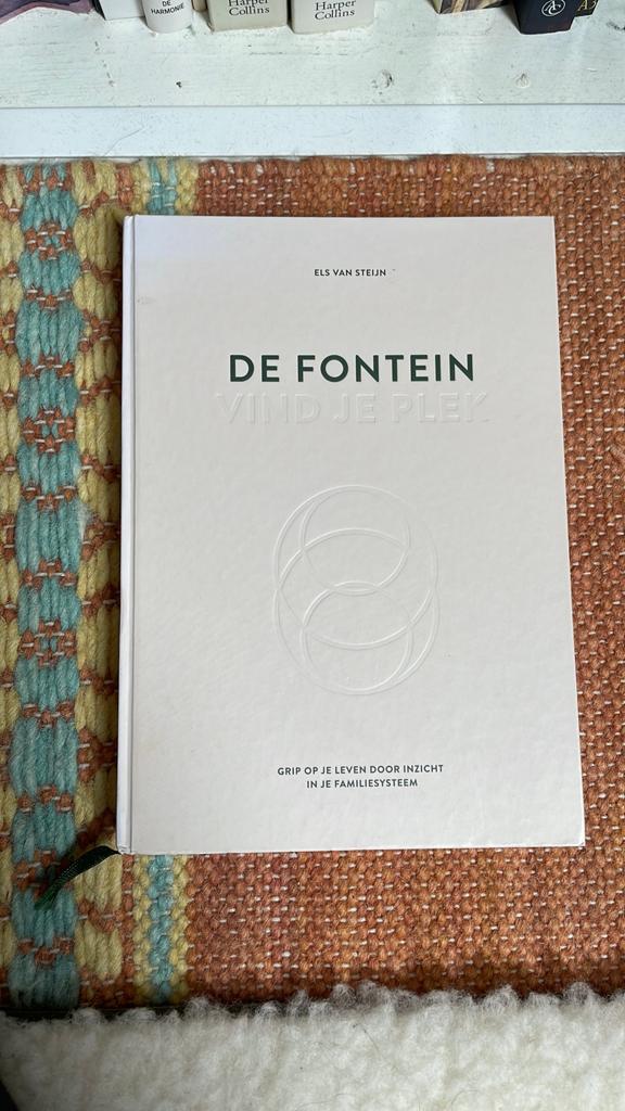 Els van Steijn - De fontein, vind je plek, Ophalen of Verzenden, Zo goed als nieuw, Els van Steijn