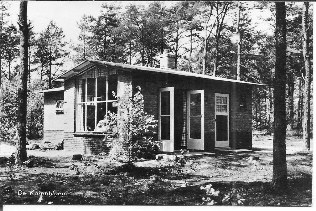 Oude ansichtkaart 'De Korenbloem' Emst (Veluwe) 1959, Ophalen of Verzenden, 1940 tot 1960, Gelopen, Gelderland
