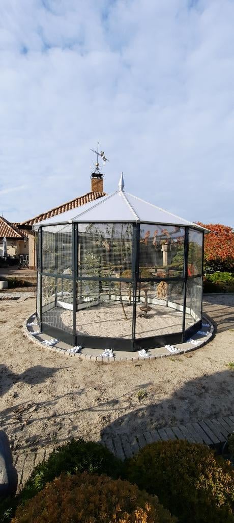 Volière Wassenaar | Maatwerk | Duurzame materialen, Ophalen of Verzenden, Nieuw, Metaal, Volière