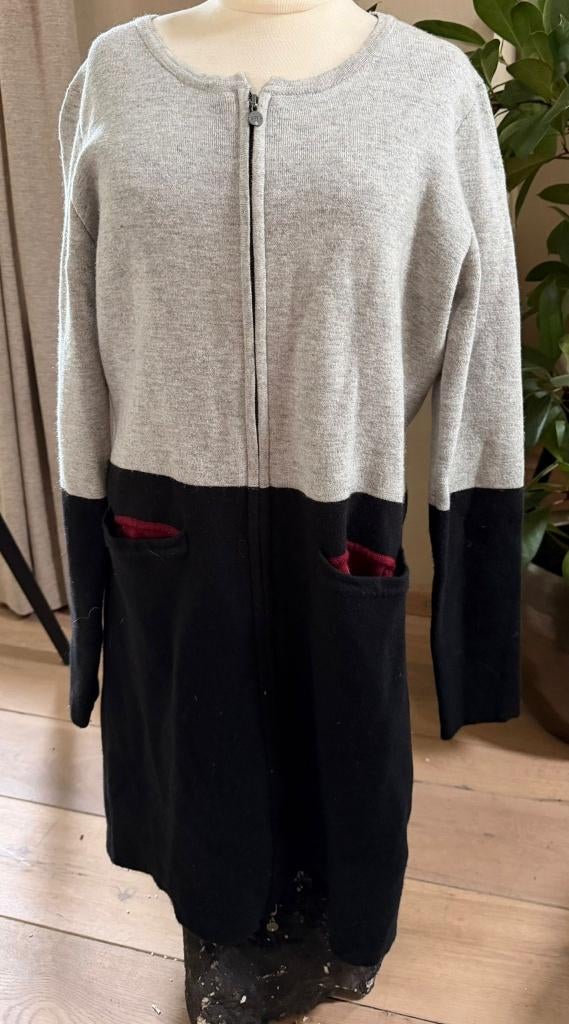 Poools vest/jurk, Kleding | Dames, Jurken, Zo goed als nieuw, Maat 38/40 (M), Grijs, Onder de knie, Ophalen of Verzenden