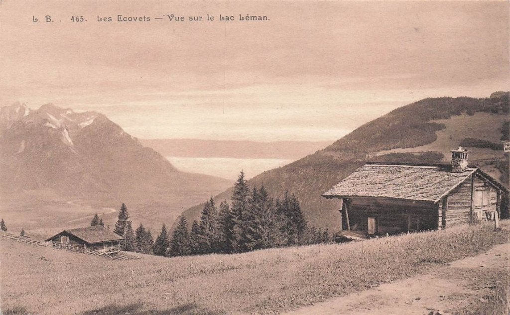 702-455-019 Les Ecovets Vue Sur Le Lac Leman, Verzenden, Voor 1920, Overig Europa
