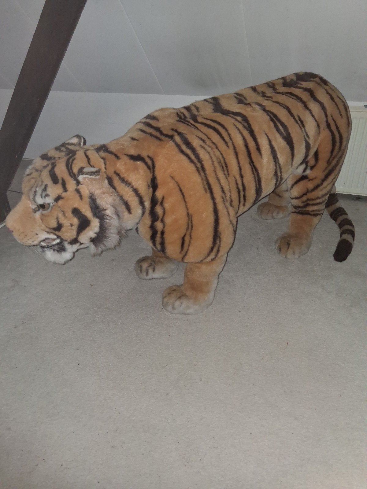 Grote tijger ophalen inTwello voor 25 juli., Ophalen, Dier