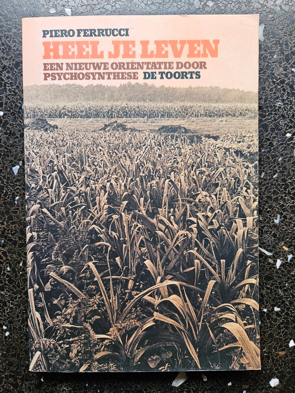 Heel je Leven: Een nieuwe oriëntatie door Psychosynthese, Achtergrond en Informatie, Ophalen of Verzenden, Zo goed als nieuw, Piero Ferrucci