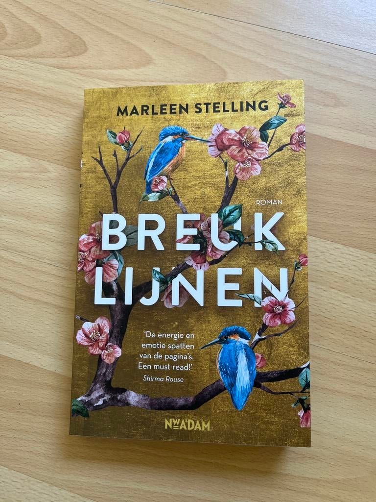Breuklijnen - Marleen Stelling (Roman), Boeken, Romans, Gelezen, Nederland, Ophalen