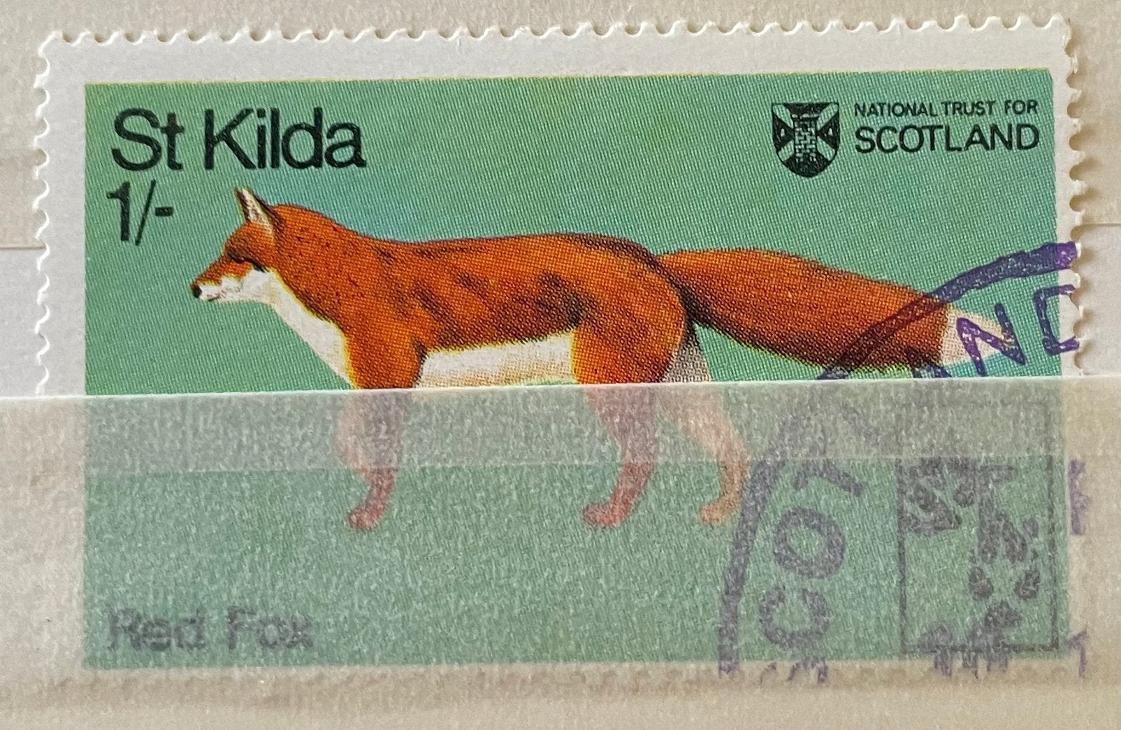 Cinderellazegel Schotland St. Kilda; vos, Ophalen of Verzenden, Gestempeld, Dier of Natuur
