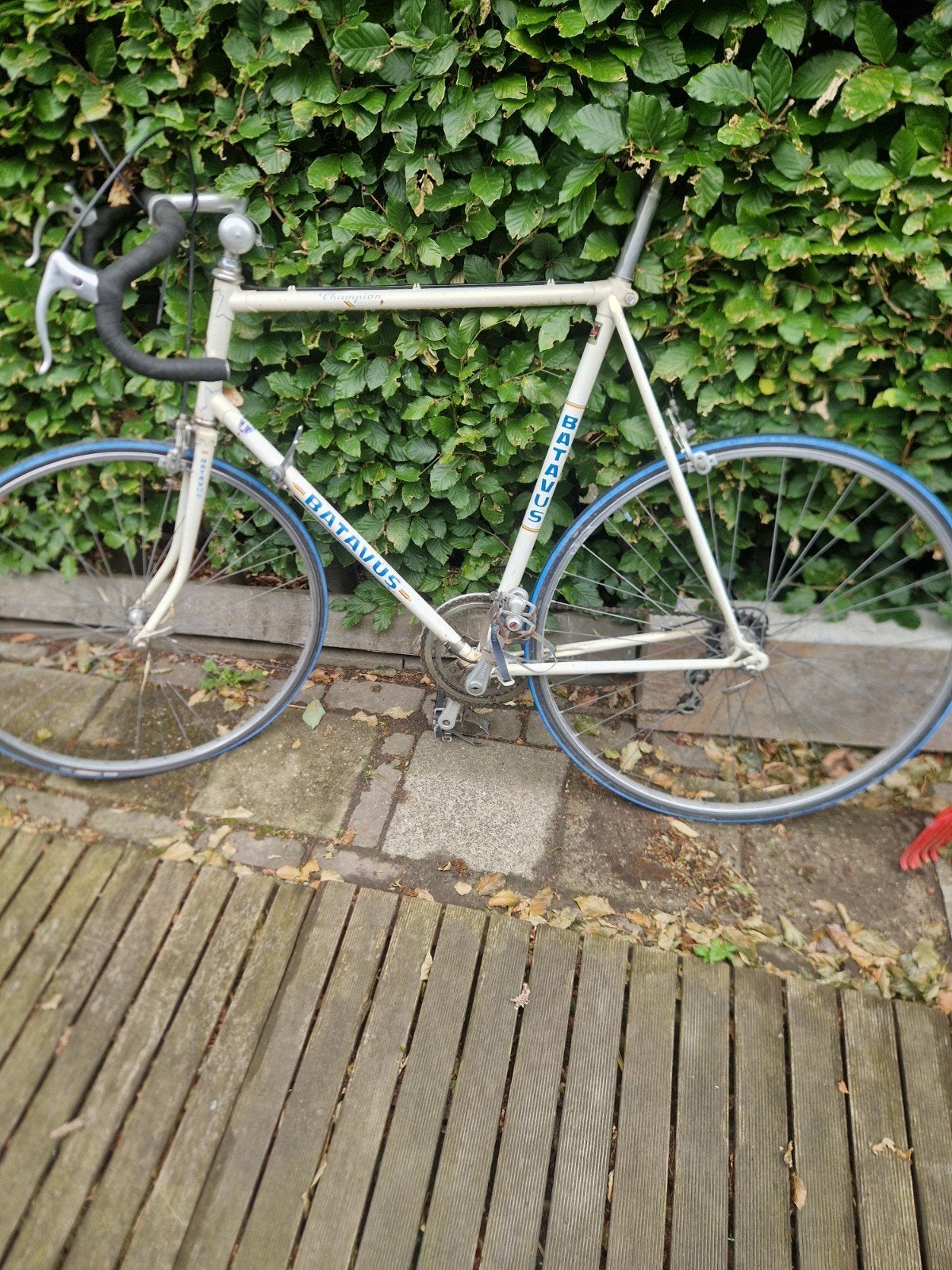 Batavus vintage racefiets, Fietsen en Brommers, Fietsen | Racefietsen, Ophalen, Gebruikt, Batavus, 10 tot 15 versnellingen