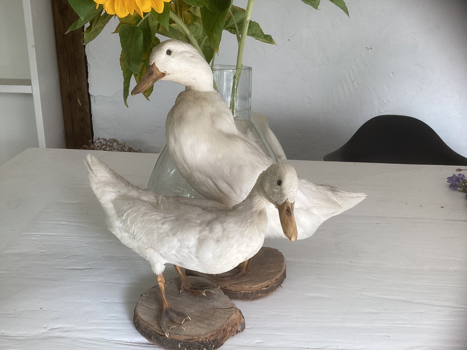 Opgezette eenden, Tuin en Terras, Tuinbeelden, Ophalen, Zo goed als nieuw