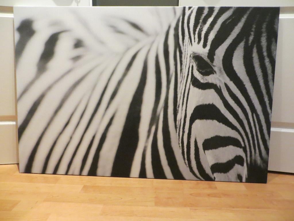 IKEA ZEBRA Schilderij Zwart/Wit 78x110 cm Pjätteryd Natuur, Antiek en Kunst, Ophalen