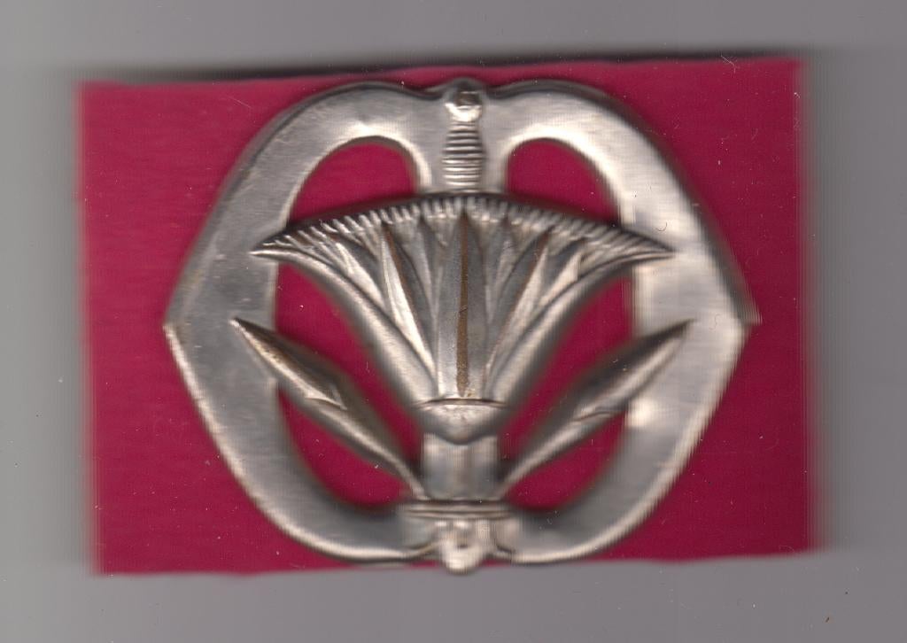 baretembleem Administratie 1e model, Verzamelen, Ophalen of Verzenden, Landmacht, Nederland, Embleem of Badge